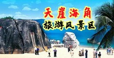 欧美吸乳操逼海南三亚-天崖海角旅游风景区